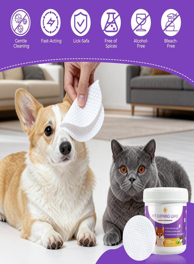 MeCids Pet Cleaning Wipe and Dogs Teeth Cleaning Finger Wipes Set 180PCS, Gentle Pet Wipes for Dogs & Cats Eyes, Ear, Paws, Butt, Face - Image 4